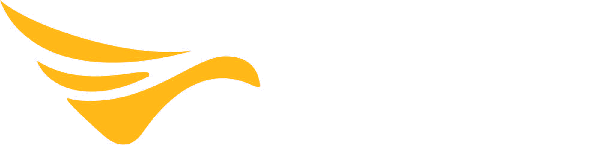 Volatus Aerospace